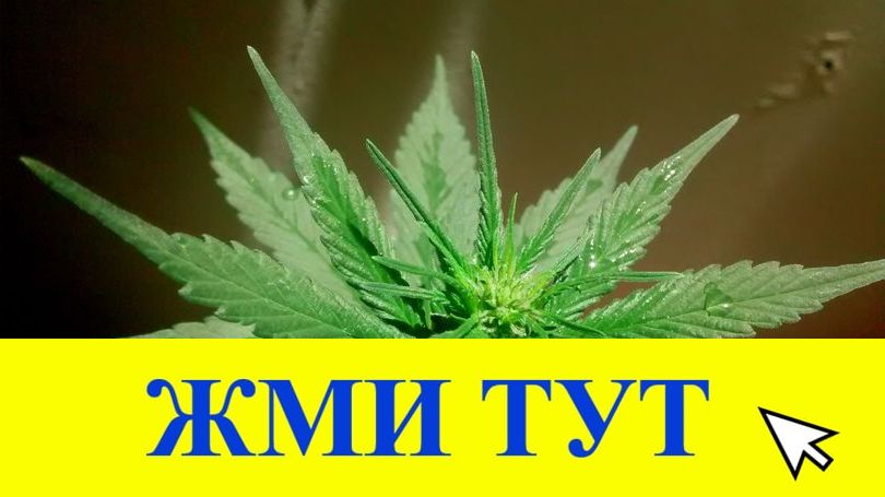 Купить наркотики в Тейково